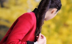 芭拉芭拉樱之花